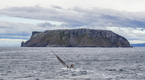 GRACE O'MALLEY, Bow: 62, Sail n: 99, Owner: Zoe Taylor, State/Nation: NSW, Design: Cookson 12