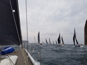 The Bird Island Race fleet from Wax Lyrical