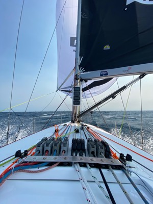 Filepro making good progress