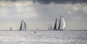 Fleet off the Organ Pipes. Spinnaker.