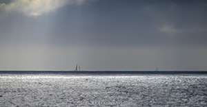 Fleet off the Organ Pipes. Spinnaker.