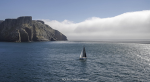 SHE, Bow: 49, Sail n°: 4924, Skipper: Philip Bell, Design: Olson 40, Owner: Philip Bell, State/Nation: NSW