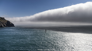 SHE, Bow: 49, Sail n°: 4924, Skipper: Philip Bell, Design: Olson 40, Owner: Philip Bell, State/Nation: NSW