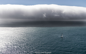SHE, Bow: 49, Sail n°: 4924, Skipper: Philip Bell, Design: Olson 40, Owner: Philip Bell, State/Nation: NSW