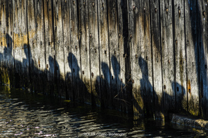 Dockside ambiance in Hobart