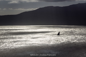 SHK SCALLYWAG 100, Sail No: HKG2276, Owner: Seng Huang Lee, Skipper: David Witt, Design: Dovell 100