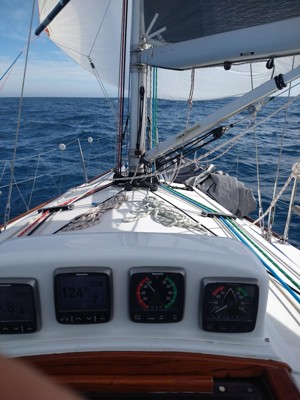 White Bay 6 Azzurro.