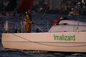 Imalizard