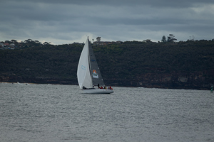 Wild Oats