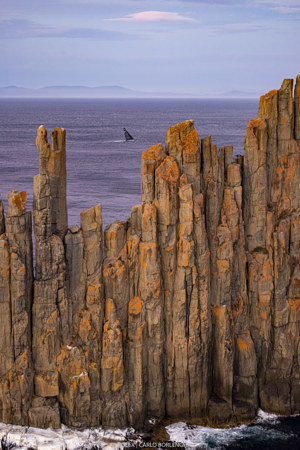 MONEYPENNY, Bow n: 007, Sail n: AUS1, Skipper: Sean Langman, Owner: Sean Langman, State-Nation: NSW, Design: Reichel/Pugh 69
