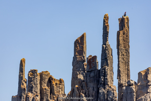 Cape Raoul, Tasmania