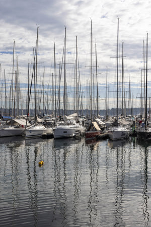 Noakes Sydney Gold Coast 2023