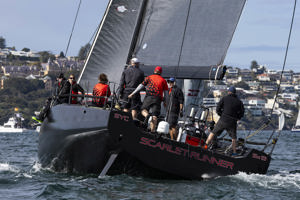 Noakes Sydney to Gold Coast 2023 - Scarlet Runner