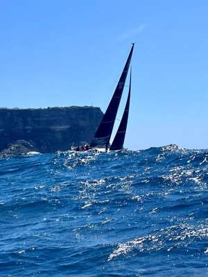 2023 Bird Island Race - Disko Trooper_Contender Sailcloth