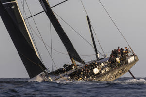 Cabbage Tree Island Race 2023 - Andoo Comanche