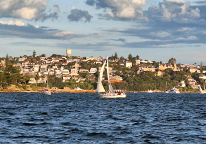Cabbage Tree Island 2023 - Currawong