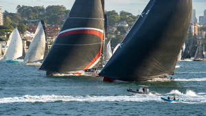 Andoo Comanche and SHK Scallywag