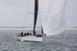 Bumblebee V at Cabbage Tree Island