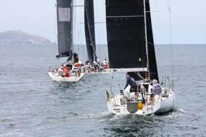 Kraken chasing Imalizard, with Cabbage Tree Island in the distance