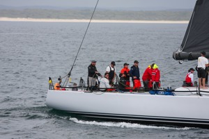 Bumblebee V at Cabbage Tree Island