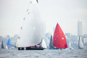 Whisper (foreground) and Antipodes ,