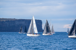 Mako, Esprit (#8455) and others making their way through the heads.