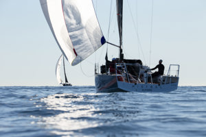 Mistral following Quantock to the finish.