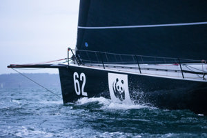 2024 Tollgate Islands Race start - Whisper.  Image: Ashley Dart