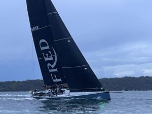 2024 Tollgate Islands Race start - Smuggler.  Image: David Hislop