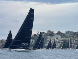 2024 Tollgate Islands Race start.  Image: David Hislop