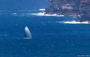2024 Tollgate Islands Race - Blue Planet entering Sydney Harbour