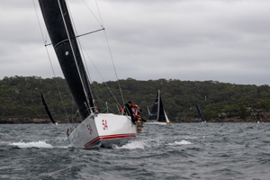 Audi Centre Sydney BWPS | 2024 Bird Island Race start - Pretty Woman.   Image: CYCA | Vito Feremans