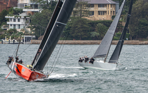2024/25 Audi Centre Sydney BWPS | Bird Island Race start - Master Lock Comanche (l) and No Limit.   Image: Mike Selbie