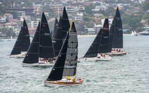 2024/25 Audi Centre Sydney BWPS | Bird Island Race start.   Image: Mike Selbie