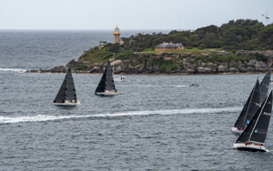2024/25 Audi Centre Sydney BWPS | Bird Island Race start.   Image: Mike Selbie