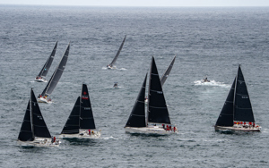 2024/25 Audi Centre Sydney BWPS | Bird Island Race start.   Image: Mike Selbie