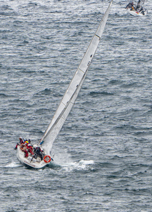 2024/25 Audi Centre Sydney BWPS | Bird Island Race start - Chancellor.   Image: Mike Selbie