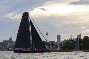 Cabbage Tree Island Race 2024 - WILD THING 100
