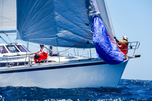   Image: CYCA | Salty Dingo