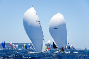 Quantock leading White Noise.     Image: CYCA | Salty Dingo