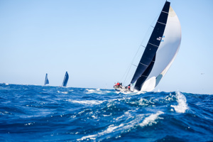 Two time winner Alive.     Image: CYCA | Salty Dingo