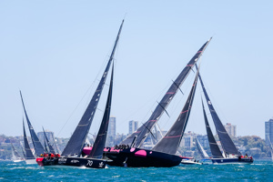   Image: CYCA | Salty Dingo