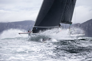 No Limit.    Image: CYCA | Ashley Dart