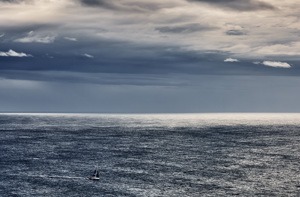 ACTIVE AGAIN, Sail n: JPN4321, OWNER/SKIPPER: Stephanie Kerin, STATE: QLD, DESIGN: Humphreys 54, LOA: 16.5, CLASS: IRC, YEAR BUILT: 2010