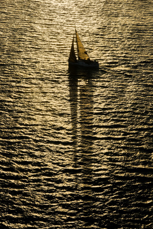 Sydney 40 Mako.     Image: Rolex | Carlo Borlenghi