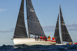 Noakes Sydney Gold Coast 2025 - Cinquante.  