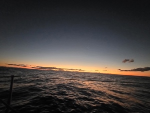 Early evening on Frantic