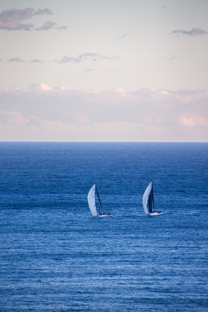 Highly Sprung leading Koa.   Image: CYCA | Ashley Dart