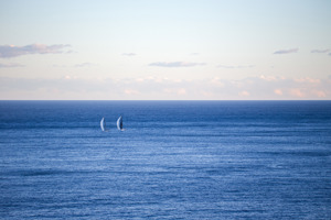 TP52s Koa and Highly Sprung enjoying close racing approaching Sydney Harbour and the finish.   Image: CYCA | Ashley Dart
