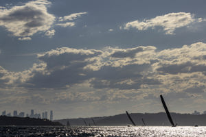 Cabbage Tree Island 2025.    Image: CYCA/Andrea Francolini